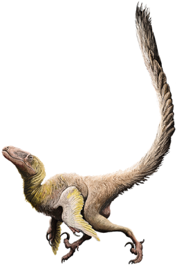 Deinonychus with feathers