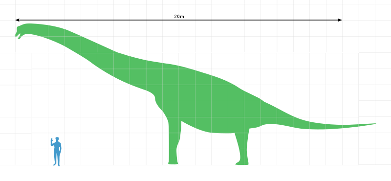 Brachiosaurus