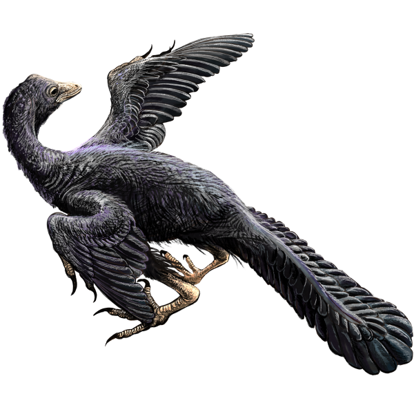 Archaeopteryx