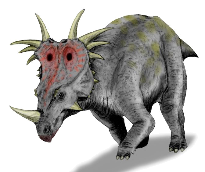 What did Styracosaurus look like?