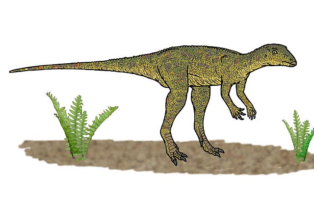 Lesothosaurus