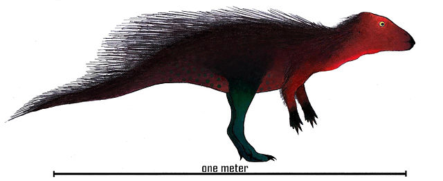 Stenopelix