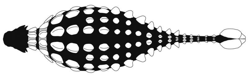 Armoured Dinosaur armour Ankylosaurus armor