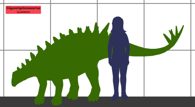 Gigantspinosaurus_SIZE